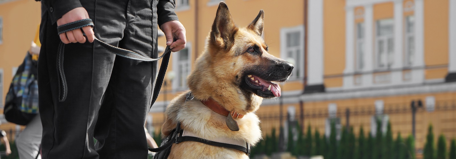 Security dog services